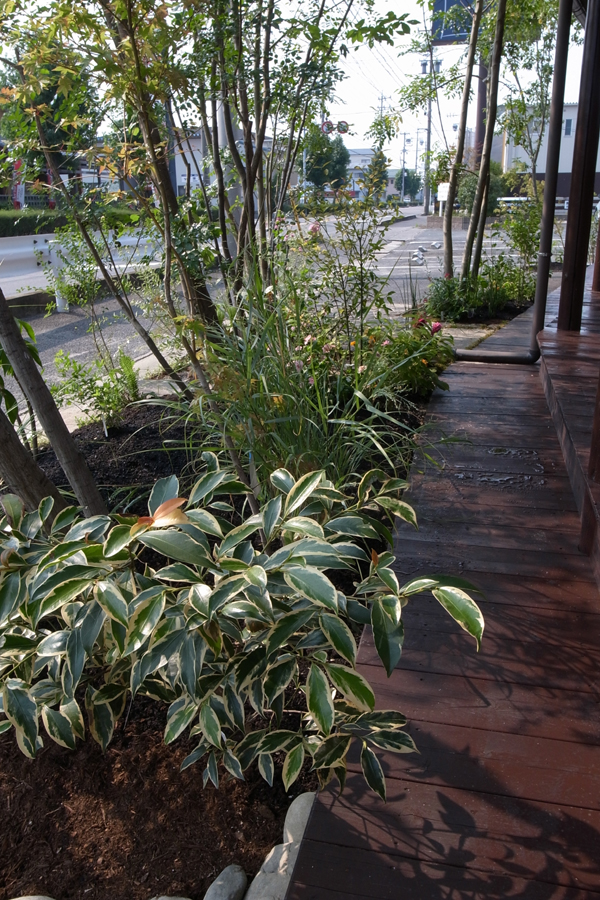 ニーニャニーニョしっとり