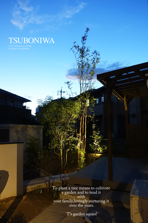 niwa ライティング