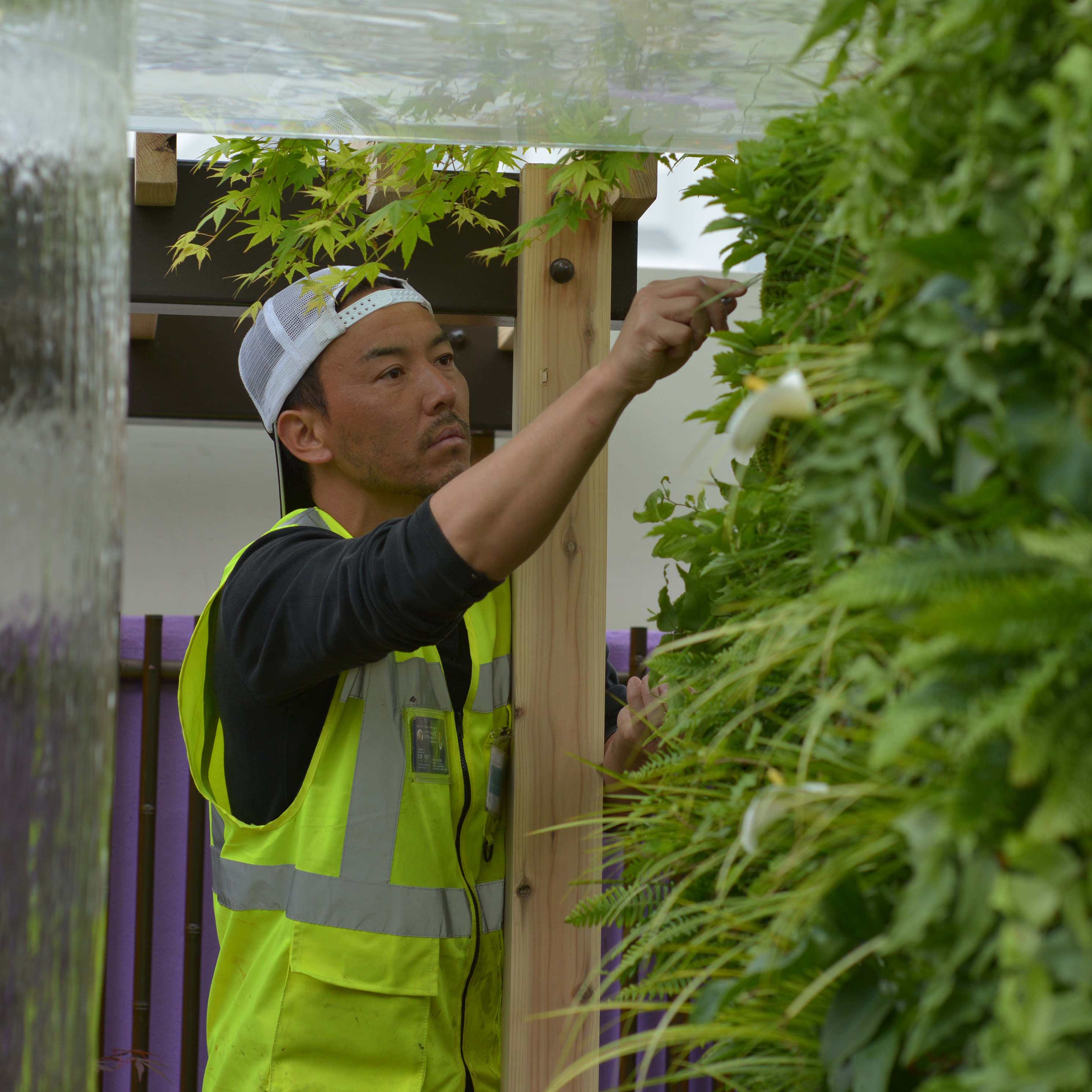 ふるさわありちか