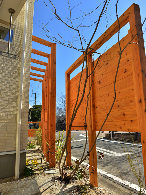 モミジイメージ