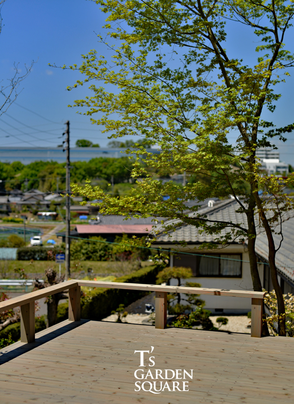 ウッドデッキから眺める景色