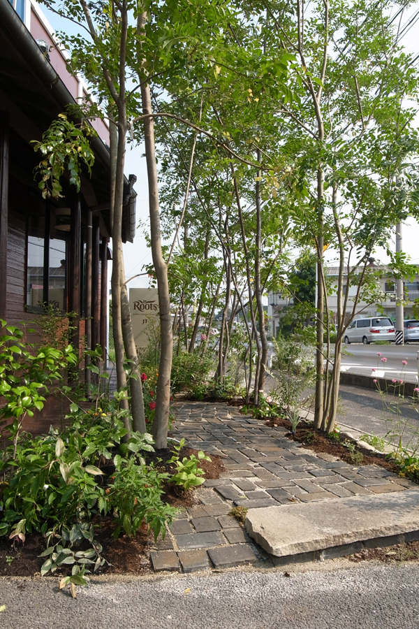 雑木の庭　ニーニャニーニョ