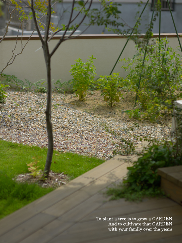 家庭菜園イメージ