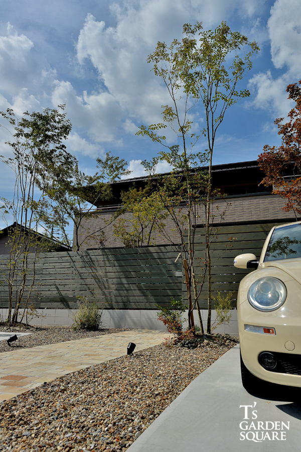 ワーゲンビートル