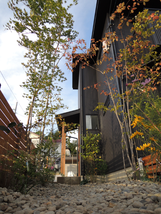 ライトアップ前