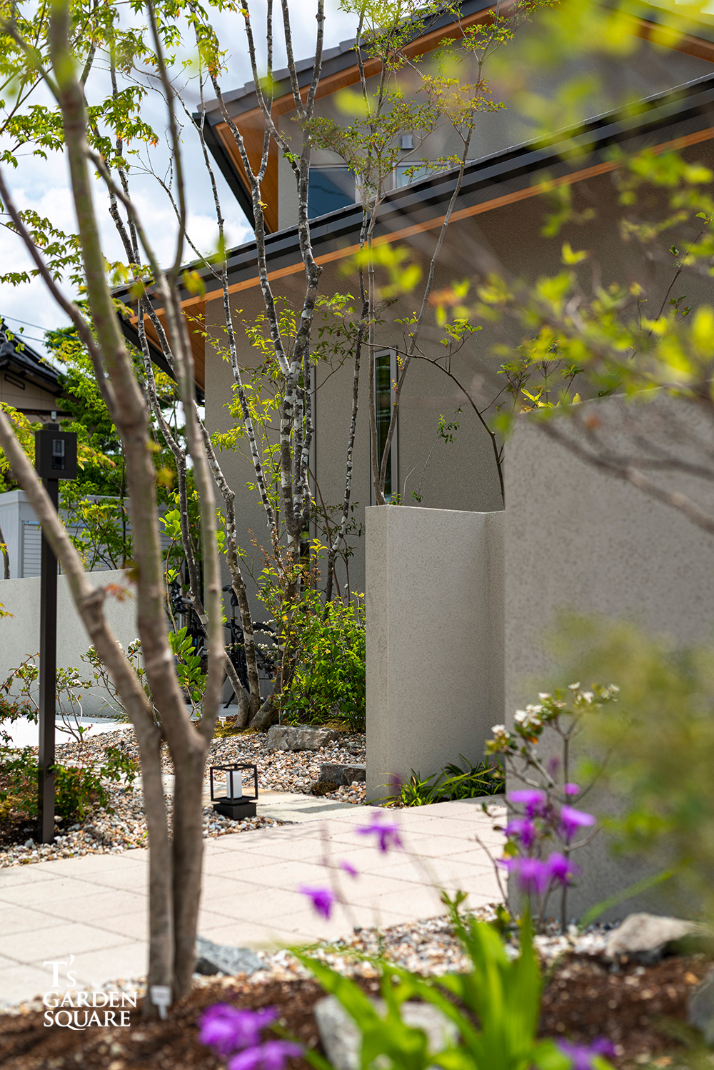 アオダモ美しい