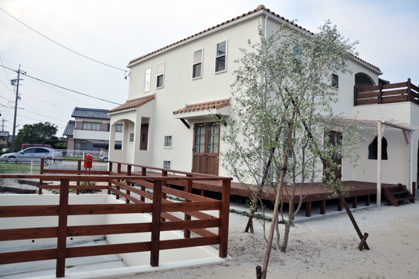 オリーブ　パパママハウス