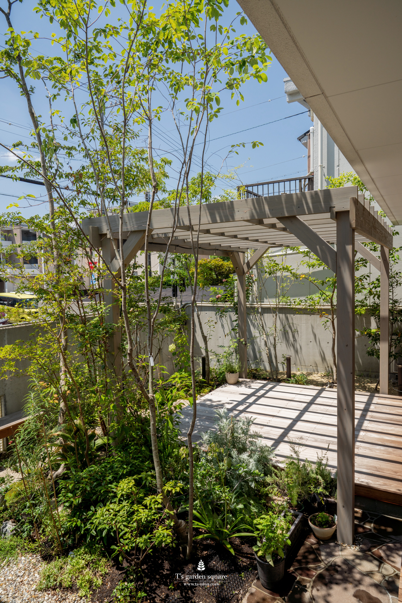 ジューンベリーの庭