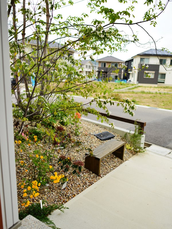 雑木林　ベンチ