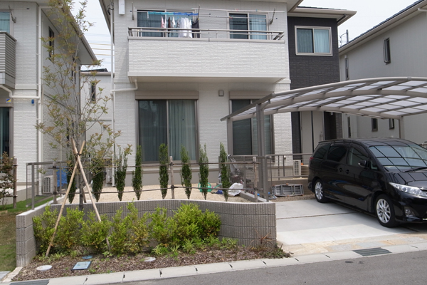 夏の花壇着手前全景