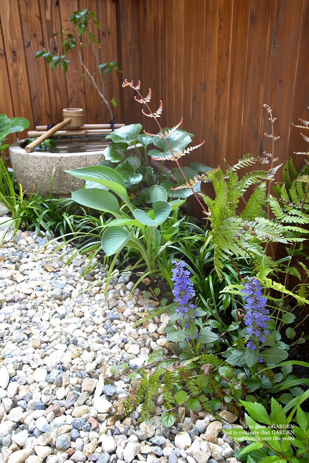 坪庭目隠し裏庭