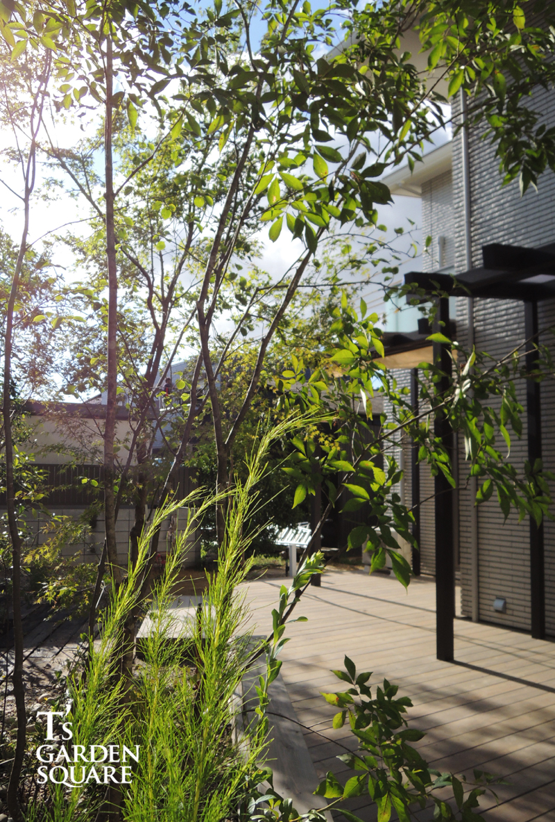 ポーチのある風景