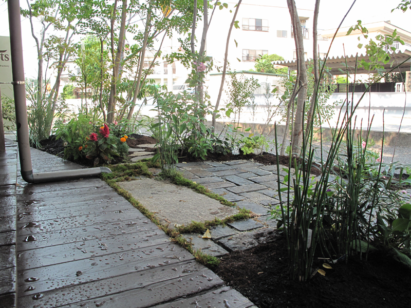 ニーニャニーニョしっとり