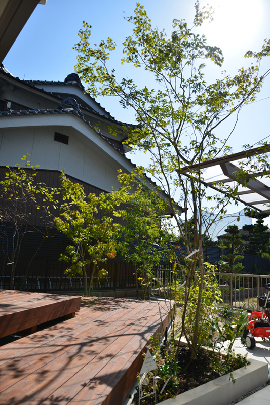 雑木の庭　ガーデン