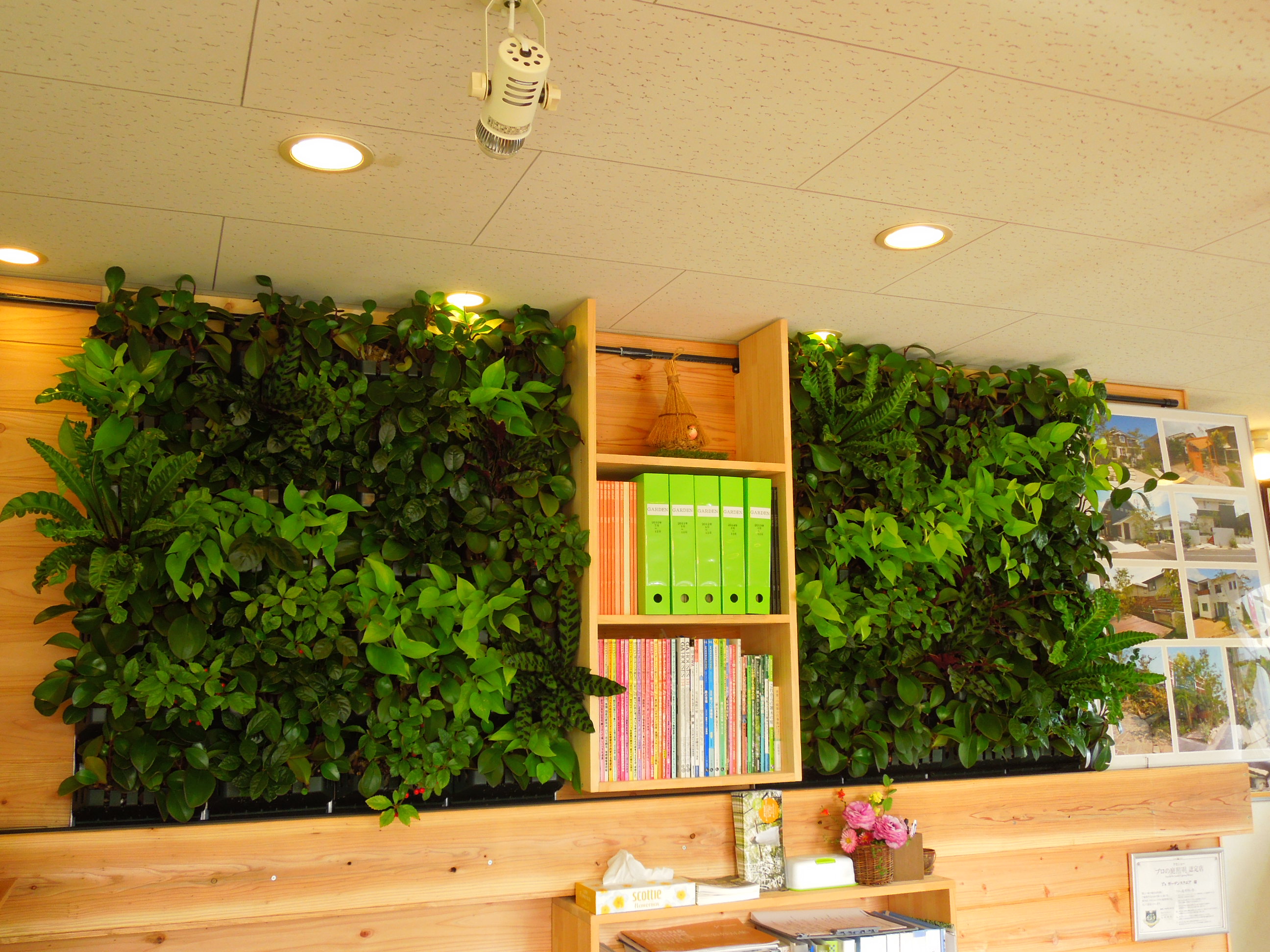 プラティコ2014.3月