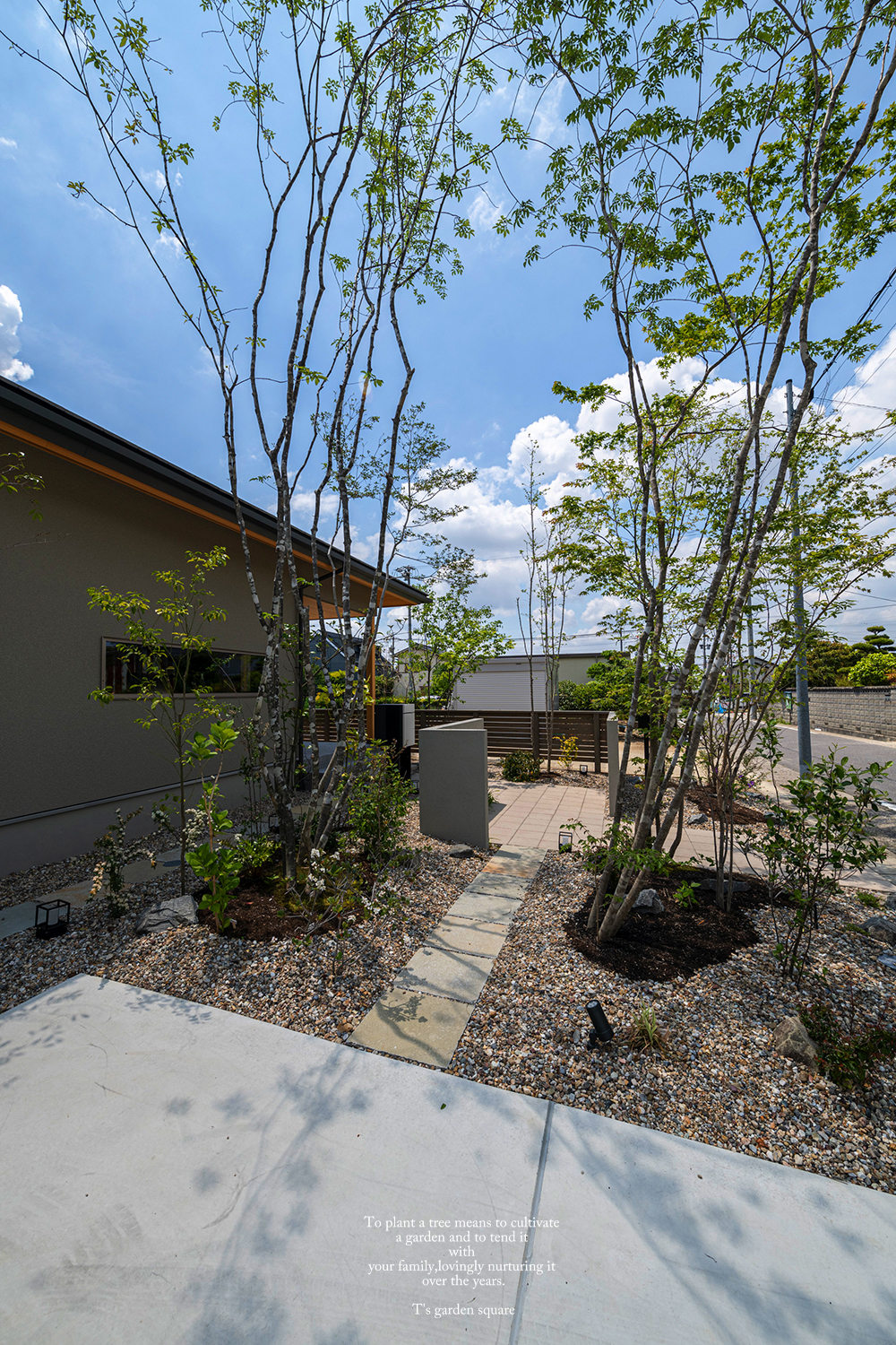 アオダモ雑木駐車場