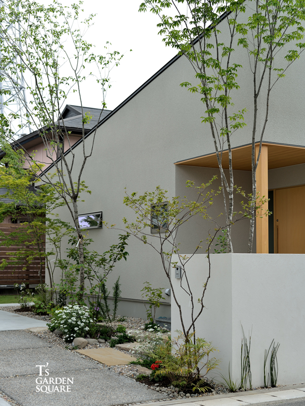 アオダモ、ジューンベリー