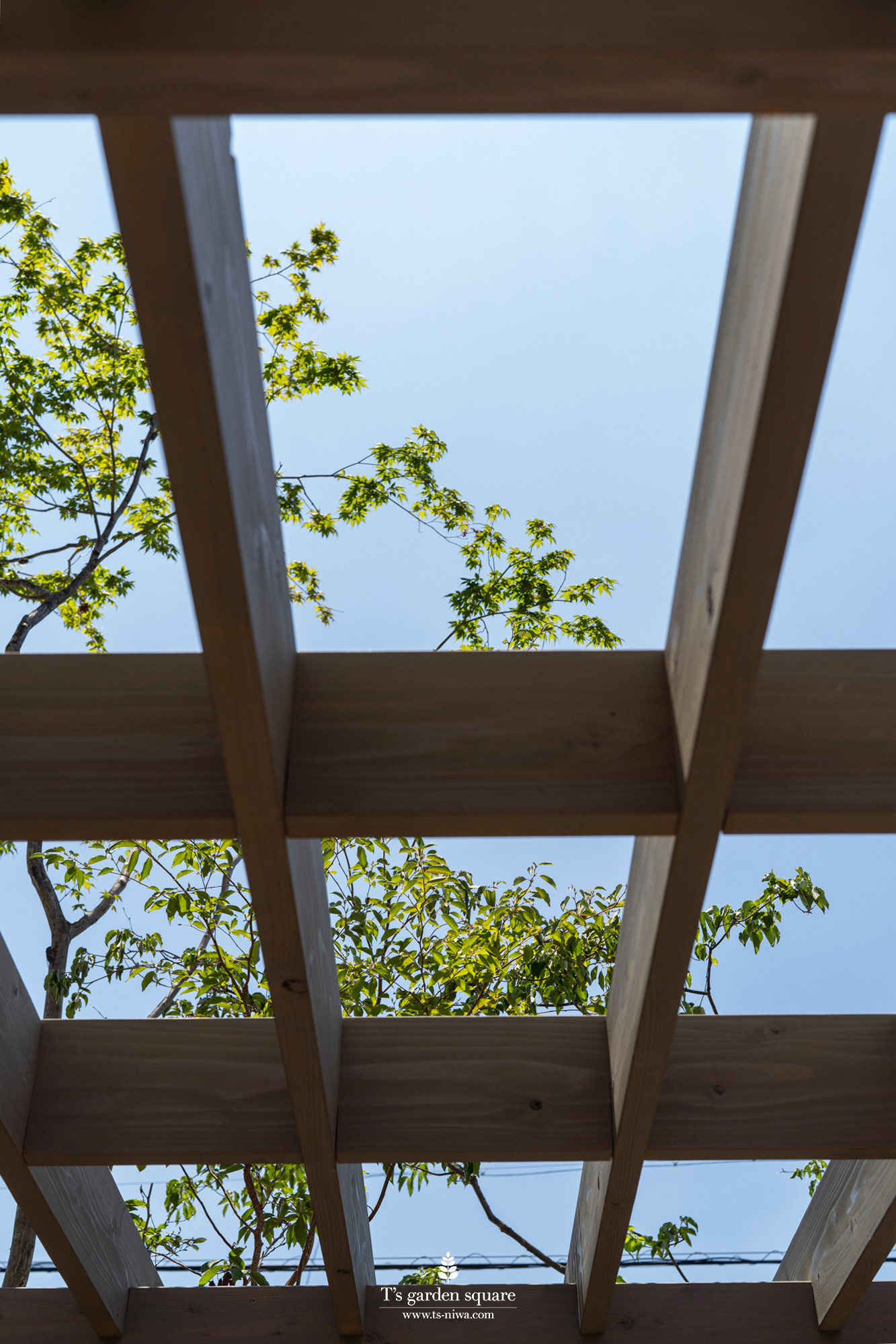 パーゴラのルーバー