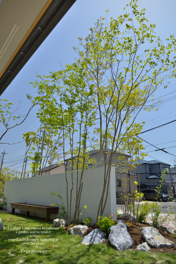 雑木の庭イメージソロ