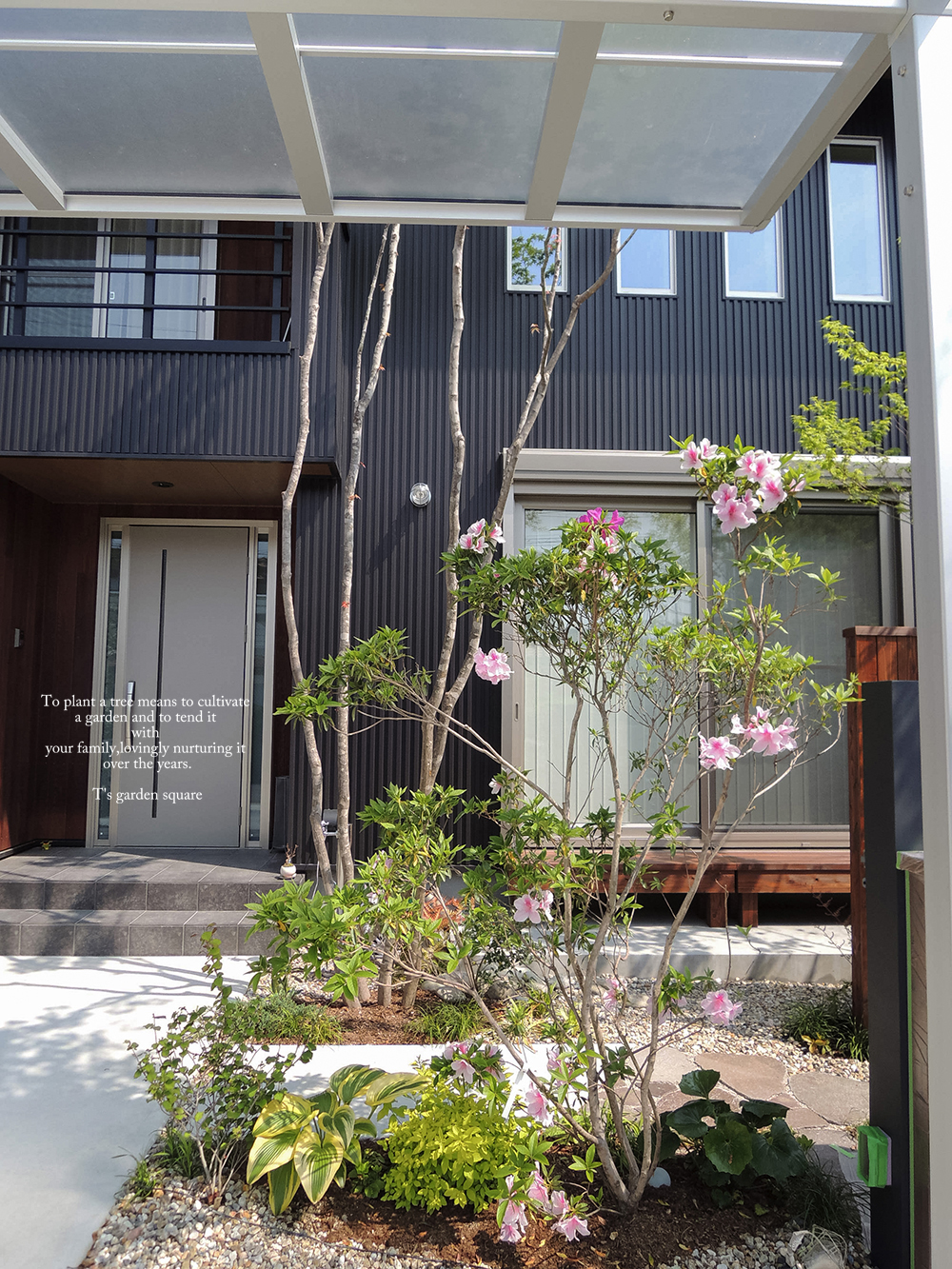 植栽で目隠しツツジ