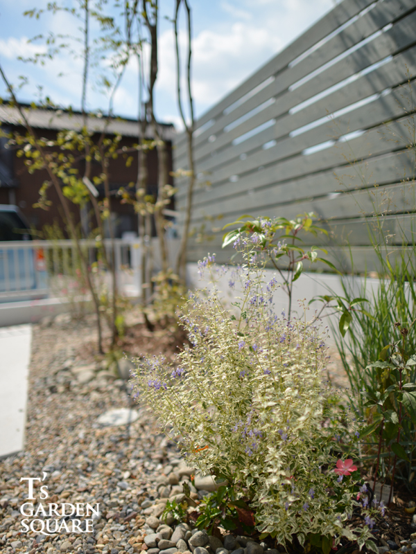 積水ハウス外構植栽イメージ