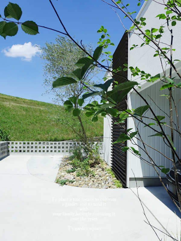 アズキナシイメージ　チャート石