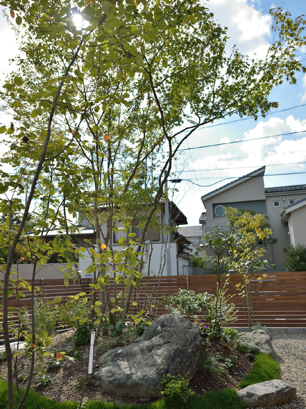 ジューンベリー