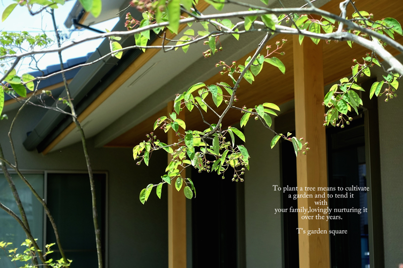 ジューンベリー