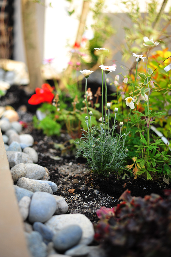 庭　画像　大和ハウス