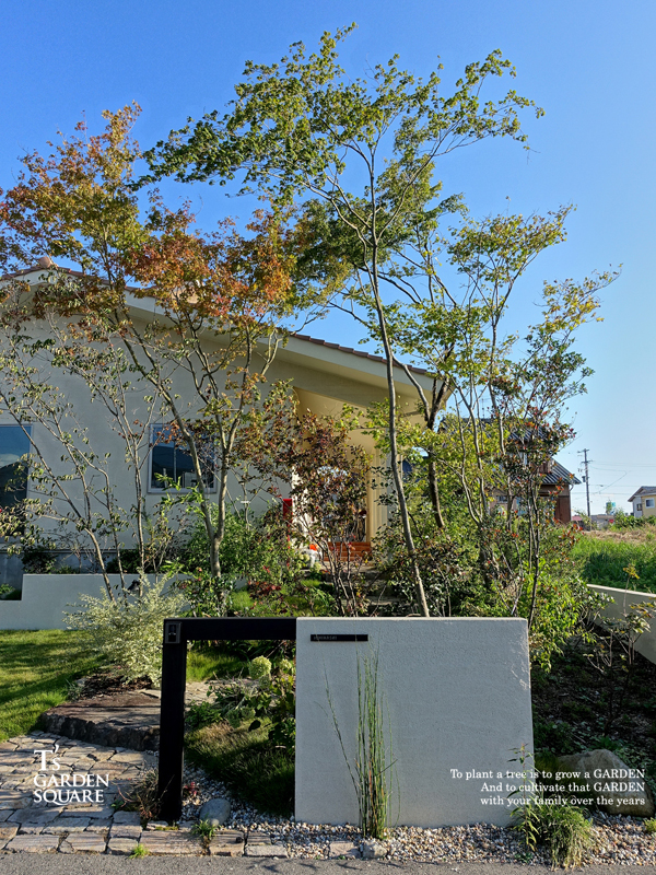 石畳のアプローチ　ジョリパット門袖