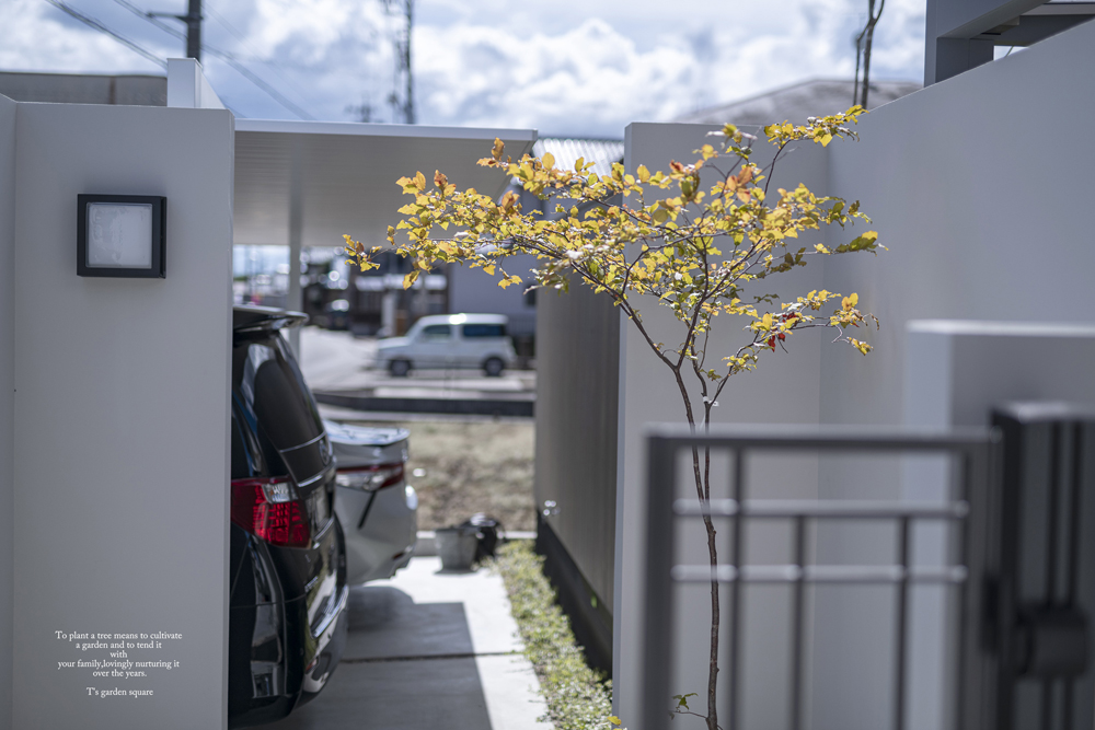 ナツハゼ　アプローチ