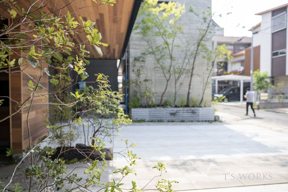 雑木のアプローチ