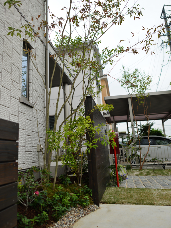 セキスイハイム　植栽