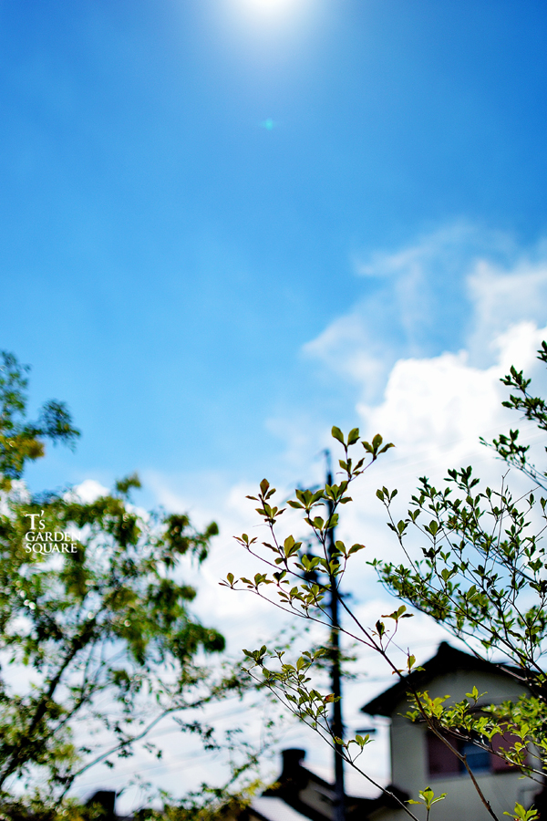 へーベルハウス新築外構工事