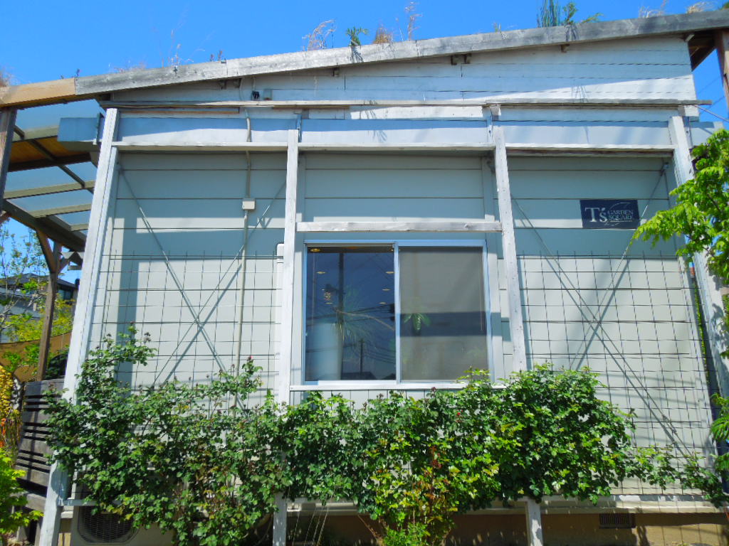 Ｈ２５・５・１壁面バラ