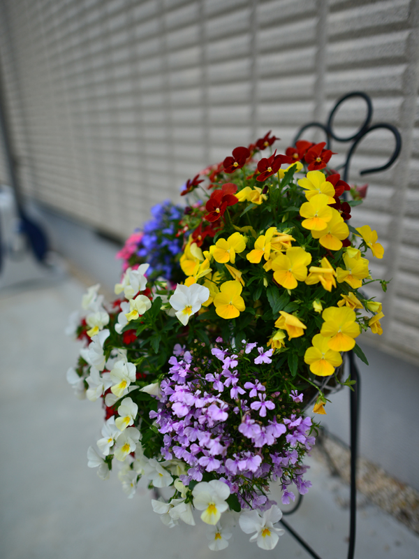 ハンギングバスケット