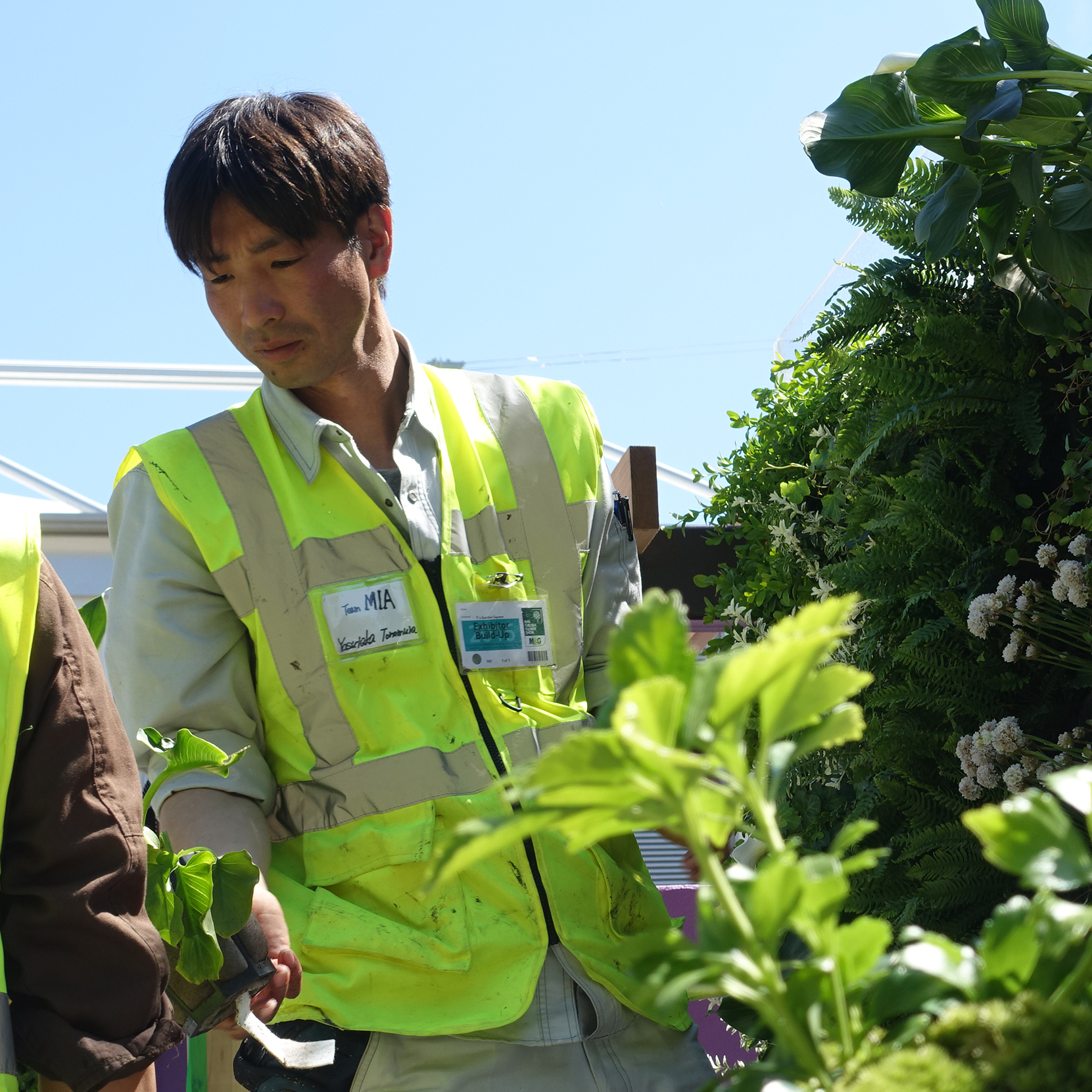 とのむらやすたか