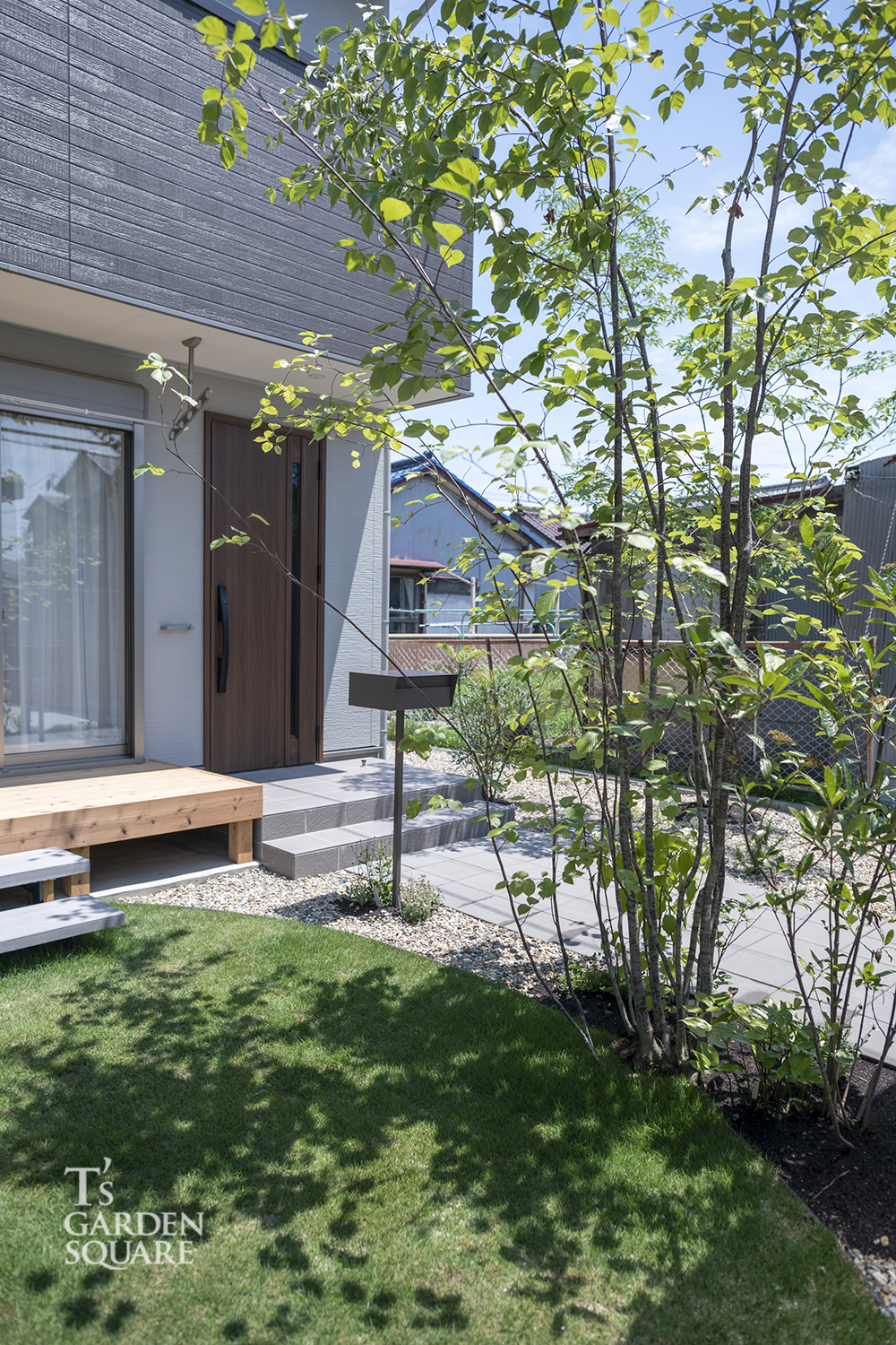 アズキナシシンボルツリー