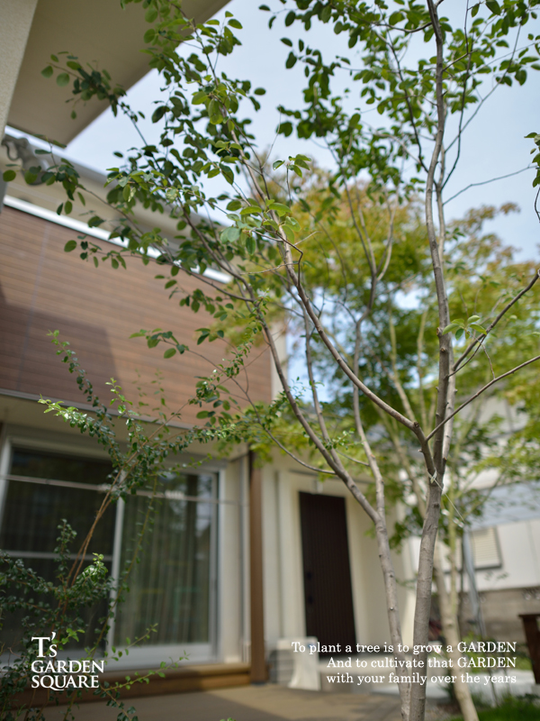 ジューンベリー