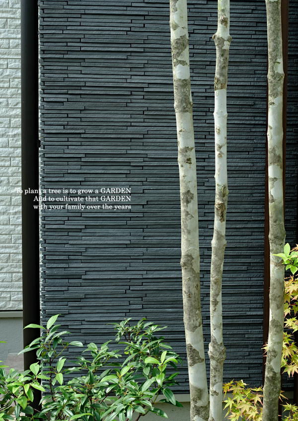 アオダモ画像 小