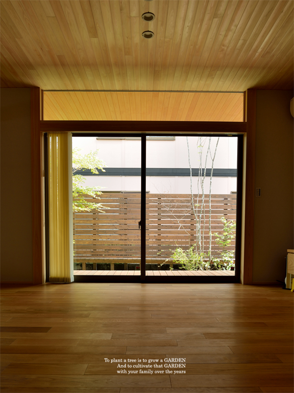 部屋から見る庭