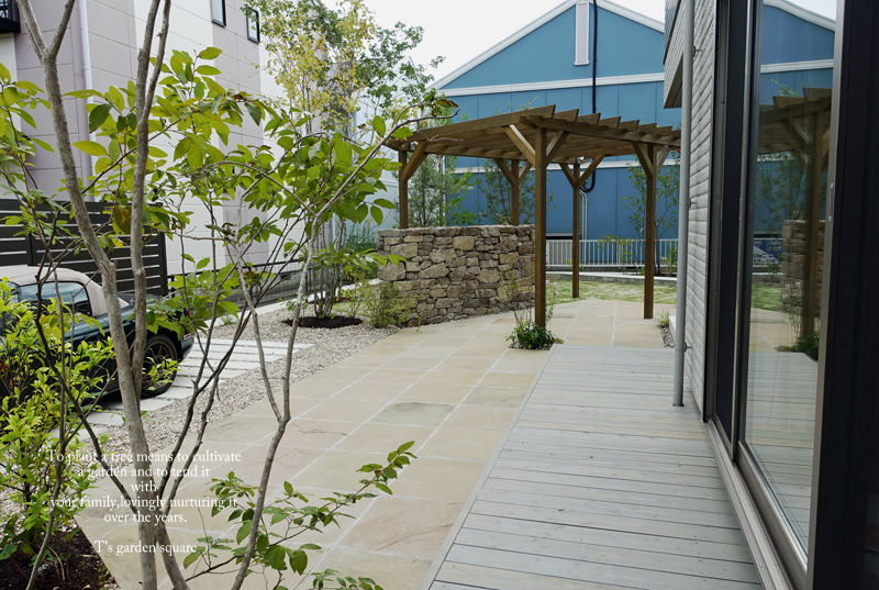 森の中イメージ