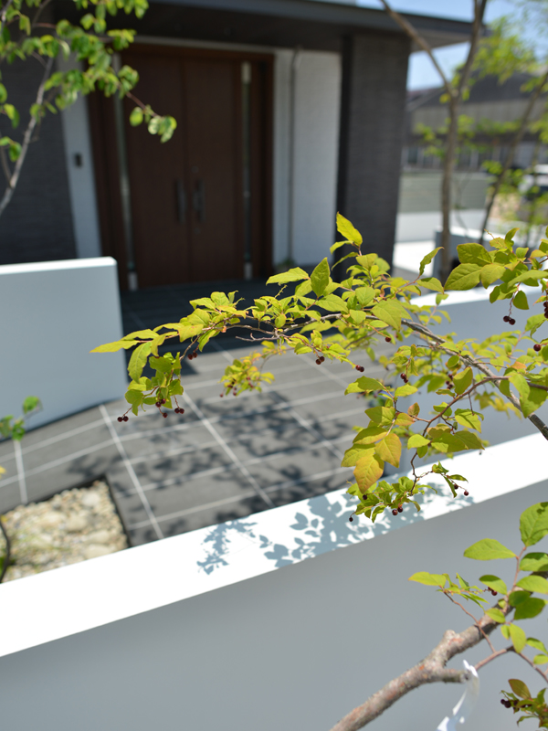 ナツハゼ　シンボルツリー