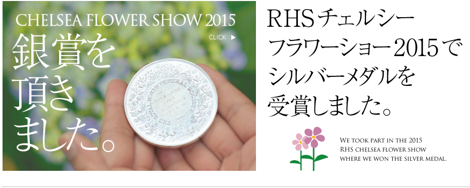 チェルシー奮闘記 2015｜世界選手権へ挑戦