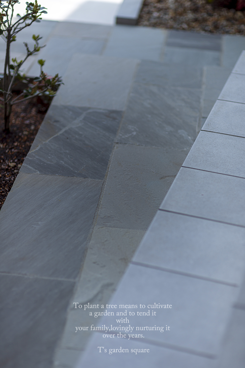 ビスタストーングレー2