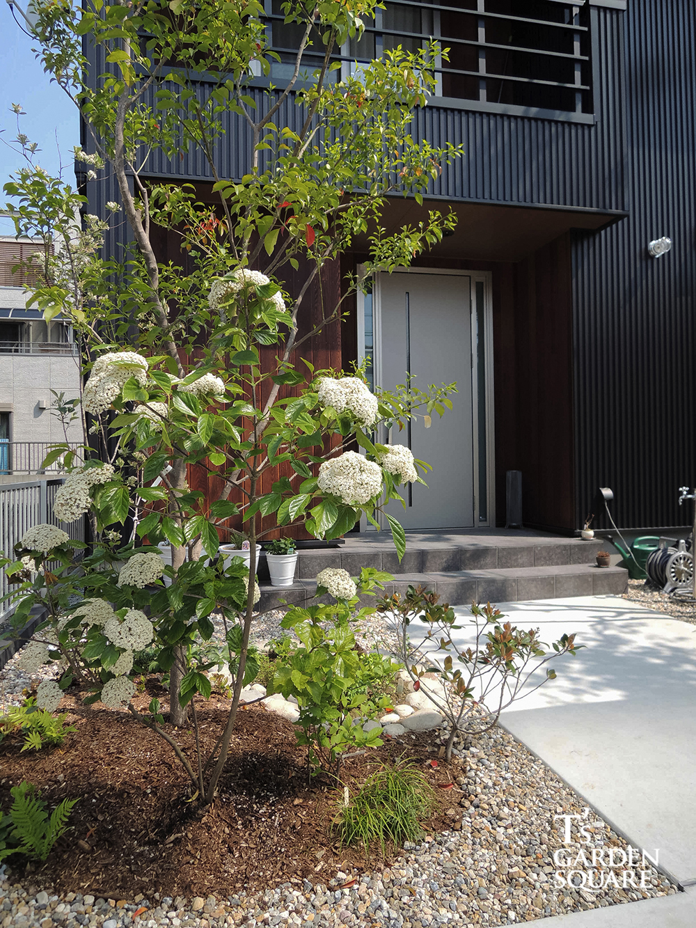 ハクサンボク玄関前