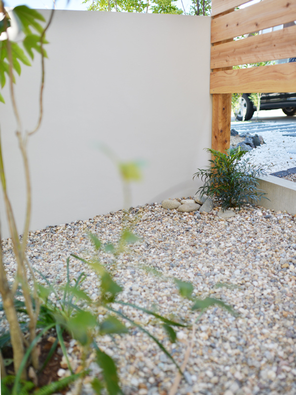 マホニアコンフューサ