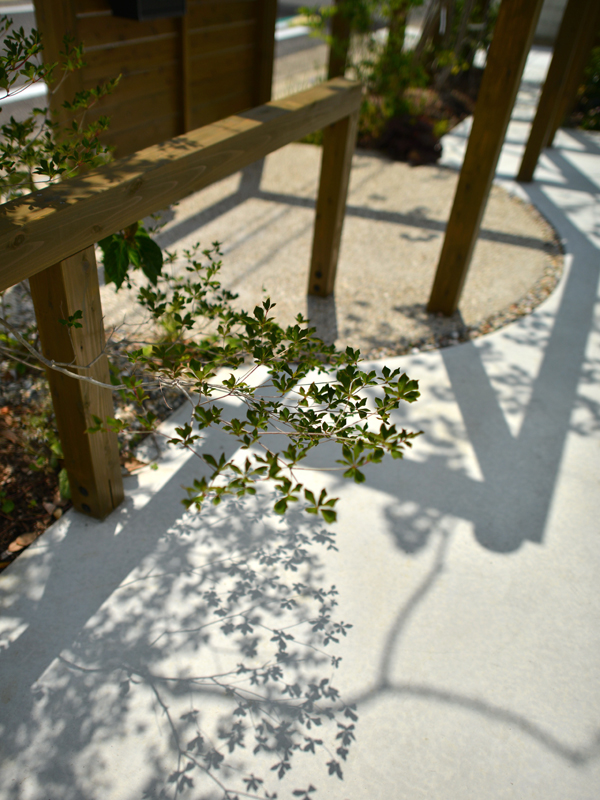 ドウダンツツジ