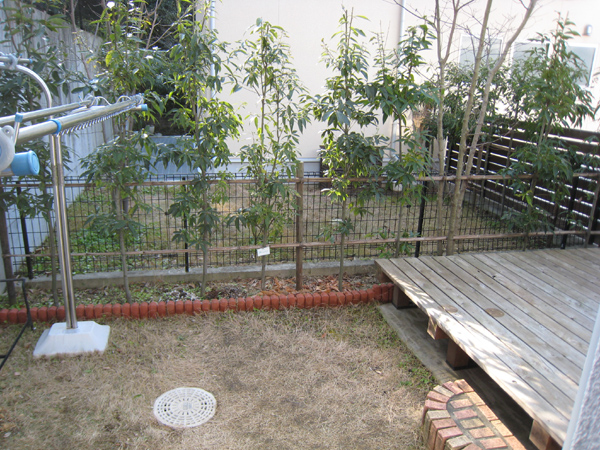 ウッドフェンス前