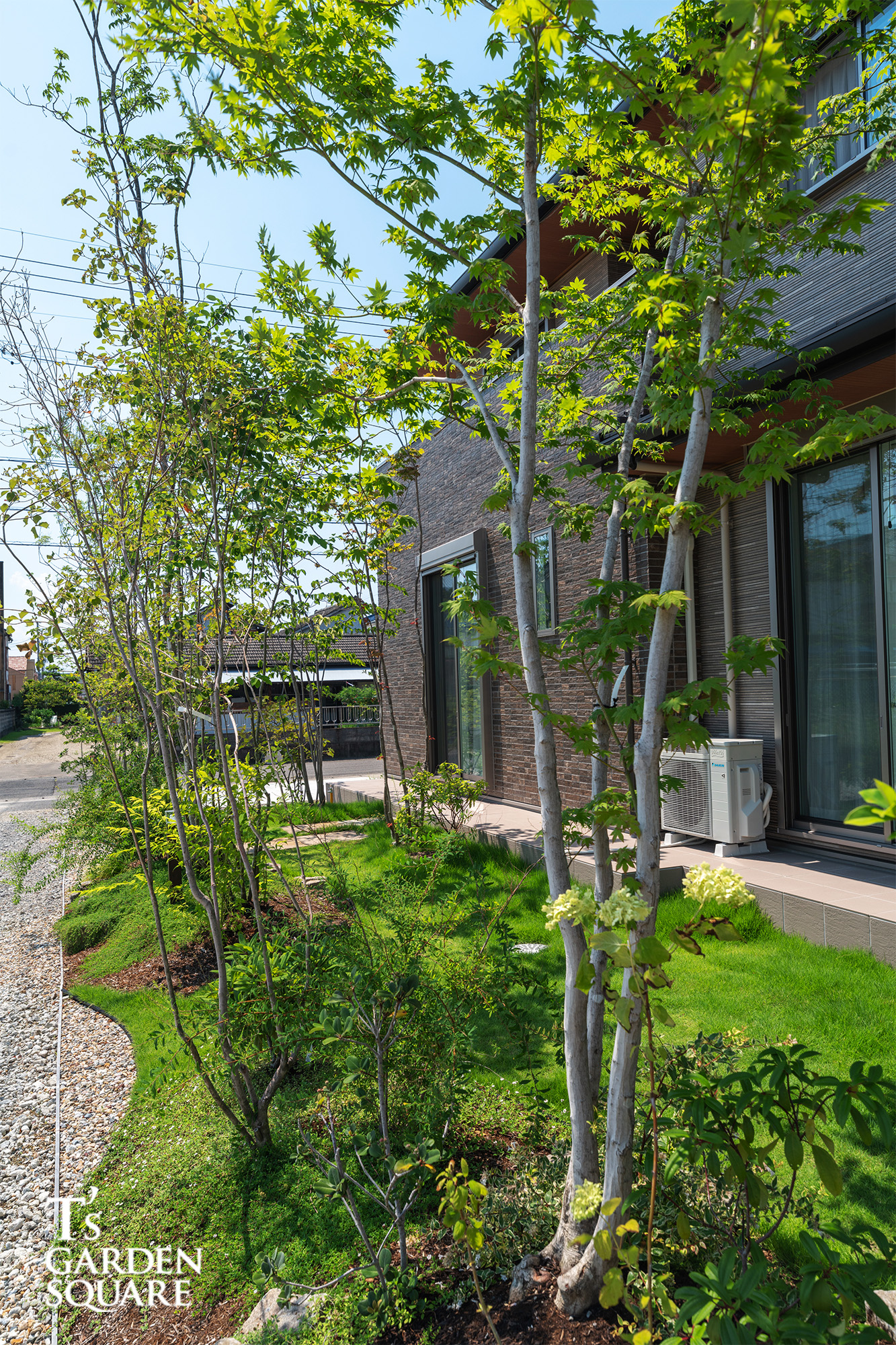 シンボルツリー